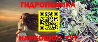 твердый Коммунар