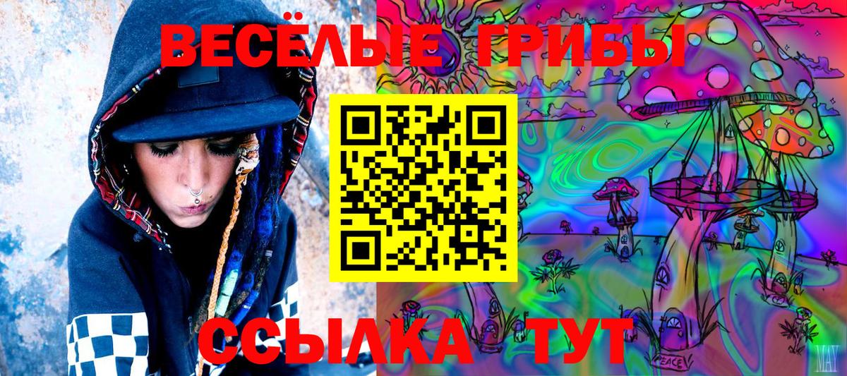 Галлюциногенные грибы Magic Shrooms Клинцы